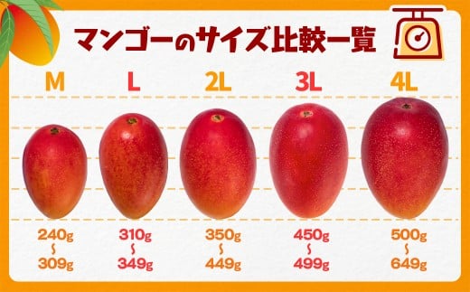 完熟マンゴーセット2Ｌ×2玉 糖度12度以上！西都市産 《先行予約》＜1.3-6＞2026年発送 果物 くだもの フルーツ 宮崎県西都市