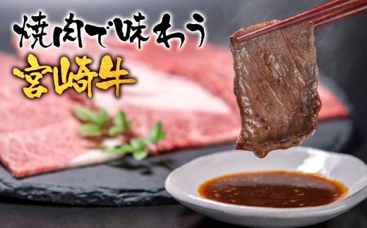 宮崎牛 赤身カルビ焼肉 800ｇ（400ｇ×2）A４～A5等級 内閣総理大臣賞4連覇 Y＜1.7-13＞焼肉 牛肉 黒毛和牛 日本一 宮崎県西都市
