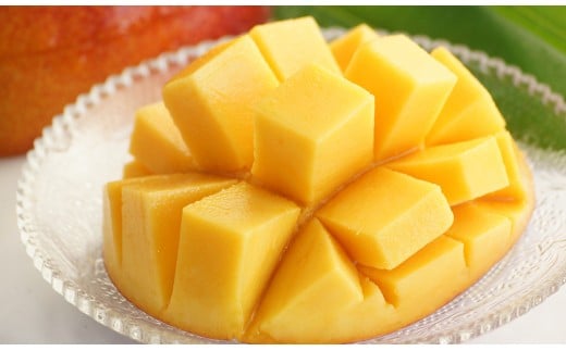 【先行予約】『川崎農園』完熟マンゴー 西都市 産生産者直送 2026年発送＜1.7-46＞