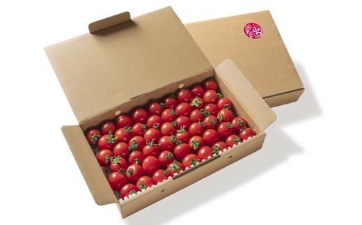 山口さんちの中玉トマト 約2ｋｇ シンディースイート 宮崎県西都市産とまと【先行予約】＜1-280＞★