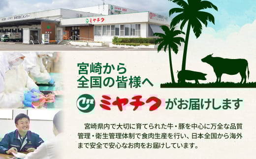 【2月発送】宮崎牛赤身スライス800g  牛肉 すき焼き しゃぶしゃぶ用  鉄板焼肉 4等級以上 ミヤチク  内閣総理大臣賞4連覇＜1.7-41＞すき焼肉 すき焼き肉● 宮崎牛赤身スライス800g