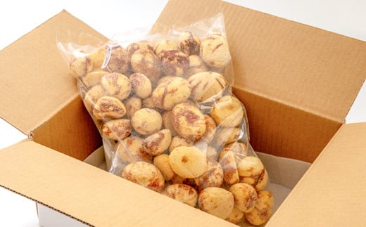 【訳あり】 新鮮朝どれ 国産生むき栗 1kg 西都市産【先行予約】＜49-7a＞