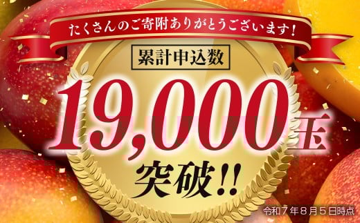 【先行予約】西都市産完熟マンゴー2Ｌ×2玉 W＜1.2-39＞2026年発送 果物 くだもの フルーツ 宮崎県 西都市