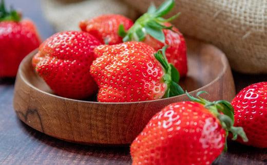 苺大野屋「やよいひめ＆さがほのか」厳選いちご 食べ比べセット 250g×４パック 約１kg 宮崎県 西都市産＜2-105＞果物 くだもの フルーツ 宮崎県 西都市