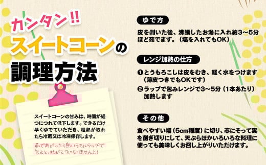 西都市産スイートコーン6kgと西都市産スイートコーンドレッシングセット【先行予約】＜1.4-26＞2026年発送 野菜 とうもろこし 調味料 宮崎県西都市★