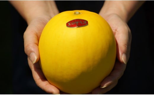 【先行予約】安藤さんちの『エリザベスメロン』約4ｋｇ（6～8玉）＜1.2-38＞2026年発送 果物 くだもの フルーツ 宮崎県西都市