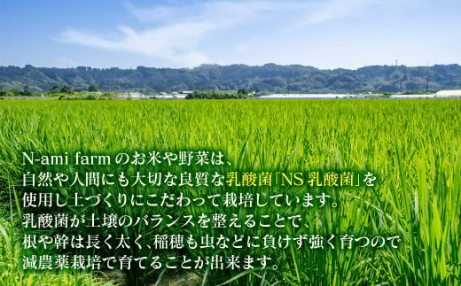 【令和7年産新米・先行予約】ヒノヒカリ 5kg ※10月中旬以降順次発送予定 精米済み ＜1.3-23＞ 新米 ヒノヒカリ お米 精米 5キロ 米 ライス 宮崎県 西都市 ひのひかり：5kg【寄附額13,000円】