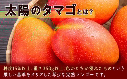 【先行予約】最高級完熟マンゴー 太陽のタマゴ 2Ｌ×2玉 西都市特産＜2-76＞2026年発送 果物 くだもの フルーツ 宮崎県西都市