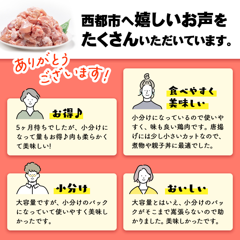 【12月以降発送】宮崎県産若鶏 鶏肉 もも肉 カット 3.4㎏ (340g×10)小分け 真空パック＜1.3-12＞鶏 もも身 鶏モモ肉 国産 11月以降の発送　3.4kg