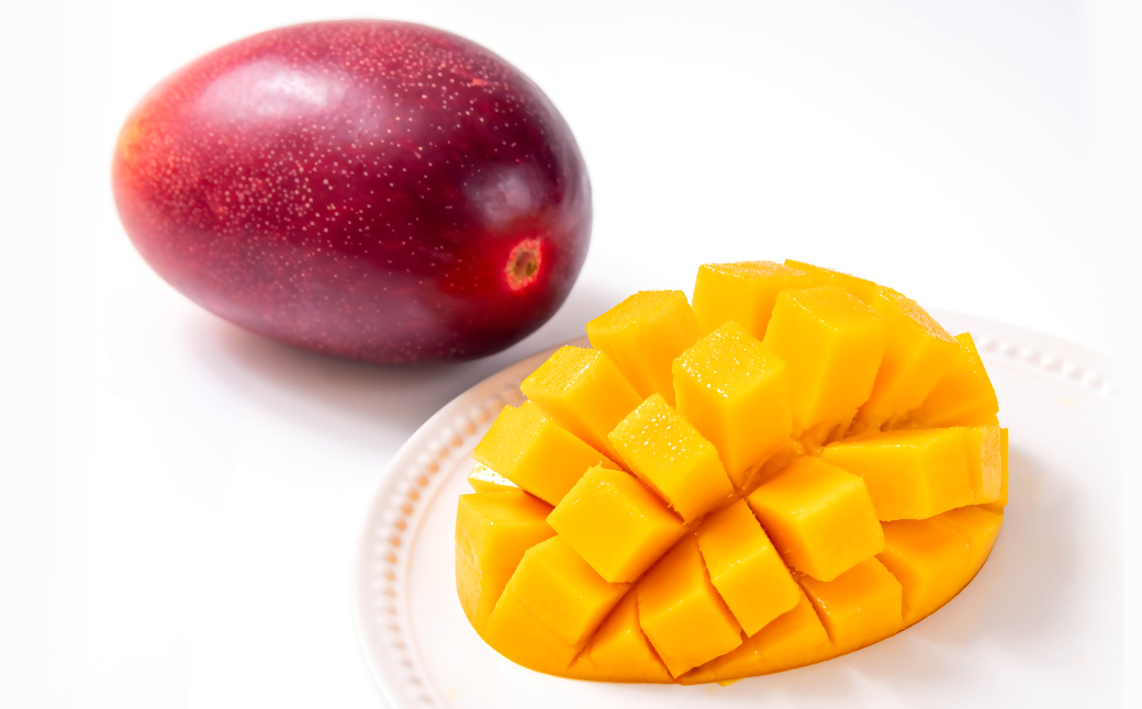 【先行予約】山下果樹園 西都市産完熟マンゴー2玉（合計900ｇ以上）化粧箱入り 2026年発送 <1.8-17> 果物 くだもの フルーツ 西都市 宮崎県 5月～7月順次発送