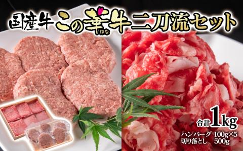 【3月17日終了】国産牛切り落とし500ｇ＆牛100％ハンバーグ100ｇ×5個　二刀流セット　この華牛　合計1ｋｇ＜1.1-27＞