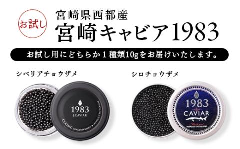 宮崎キャビア 訳あり お試しキャビア10g 国産 「ジャパン キャビア」＜1.7-28＞