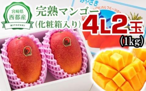 西都産完熟マンゴー大玉！4Ｌ×2玉（約1ｋｇ）【化粧箱入り】《先行予約》＜1.5-178＞2025年発送 果物 くだもの フルーツ 宮崎県西都市:  西都市ANAのふるさと納税