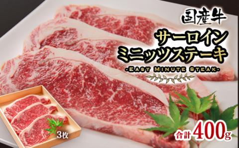 【3月17日終了】国産この華牛 サーロインミニッツステーキ3枚（約400ｇ）＜1.2-63＞牛肉 肉 ステーキ 焼肉 国産 宮崎県西都市
