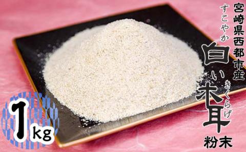 国産粉末『白いきくらげ』1000ｇ 宮崎県西都市産【3月10日受付終了】＜17-2＞木耳 キクラゲ 乾物 宮崎県西都市