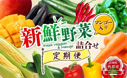 【先行予約・定期便】西都市旬の特産詰め合わせセット　マンゴー・野菜・スイートコーンなど＜6-18＞