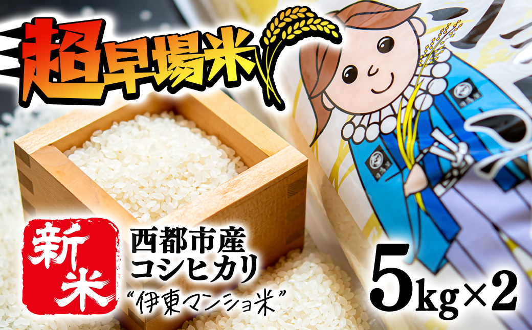 【先行予約】令和6年産新米コシヒカリ10kg（5ｋｇ×2） 『伊東マンショ米』＜1.5-124＞