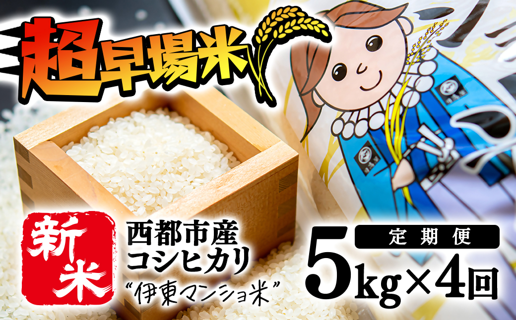 【定期便】令和6年産コシヒカリ5kg×4ヶ月　合計20ｋｇ 伊東マンショ米【先行予約】＜3-34＞