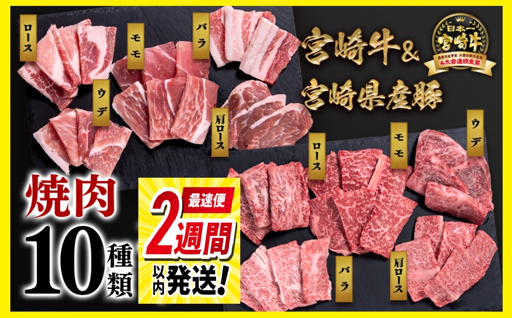 【最速便】【10月より寄附金額見直し】宮崎牛＆宮崎県産豚肉 焼肉10種盛り 食べ比べセット600ｇ ミヤチク 内閣総理大臣賞４連続受賞＜1.2-68＞牛肉 宮崎牛 豚肉 国産 宮崎牛 焼肉