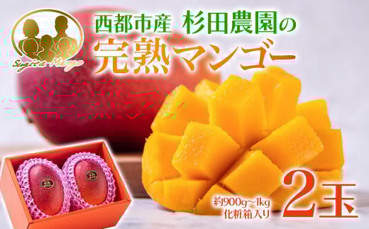 先行予約【マンゴー専門 杉田農園】西都市産 完熟マンゴー 2玉  900g～1kg 化粧箱入 生産者直送  宮崎マンゴー 2026年発送＜1.8-24＞果物 フルーツ 甘い 5月中旬～8月中旬の順次発送