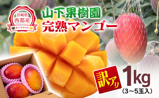 【先行予約】山下果樹園 ご家庭用完熟マンゴー1kg（3～5玉）2026年発送<1.5-25>果物 くだもの フルーツ 西都市 宮崎県