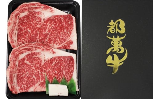 黒毛和牛『都萬牛』ロースステーキ 360ｇ（約180ｇ×2枚）<2-26>牛肉 ステーキ 肉 国産牛 黒毛和牛 宮崎県西都市 30日以内の発送となります。