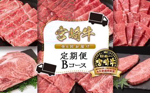 2月発送開始【６ヶ月定期便】宮崎牛Bコース 牛肉 焼肉 すき焼き ステーキ等 ミヤチク 内閣総理大臣賞4連覇＜12-2＞すき焼肉 すき焼き肉●