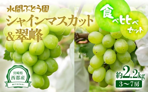 シャインマスカット＆翠峰 食べ比べセット2.2kg（3～7房）完熟ぶどう《先行予約・2025年発送》＜2-4＞ぶどう ブドウ 果物 くだもの フルーツ 宮崎県西都市