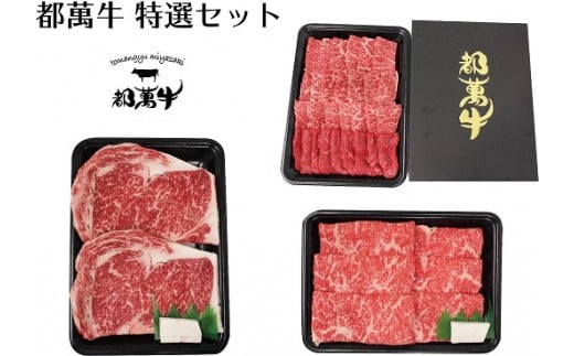 黒毛和牛『都萬牛』特選セット　焼肉500ｇ・スライス300ｇ・ステーキ300ｇ<5-3>牛肉 肉 ビーフ 食べ比べ 宮崎県西都市