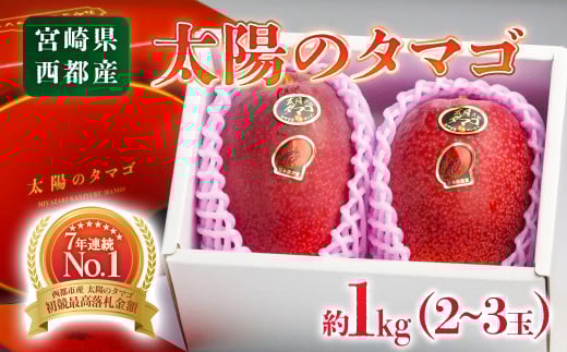 最高級ブランド『太陽のタマゴ』約1kg（2～3玉）西都産完熟マンゴー（ＪＡ西都）《先行予約》<3-18>2026年発送 果物 くだもの フルーツ 宮崎県西都市