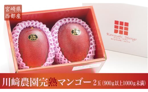 【先行予約】『川崎農園』完熟マンゴー 西都市 産生産者直送 2026年発送＜1.7-46＞