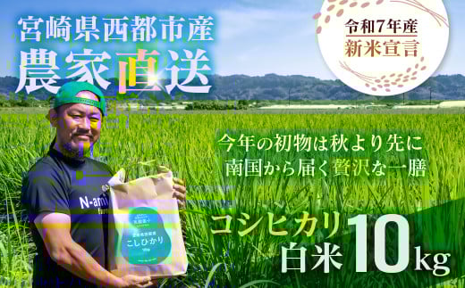 【令和7年産新米・先行予約】こしひかり 10kg ※8月上旬以降順次発送予定 精米済み ＜2.4-8＞ 新米 こしひかり お米 精米 10キロ 米 ライス 宮崎県 西都市 こしひかり：10kg【寄附額24,000円】