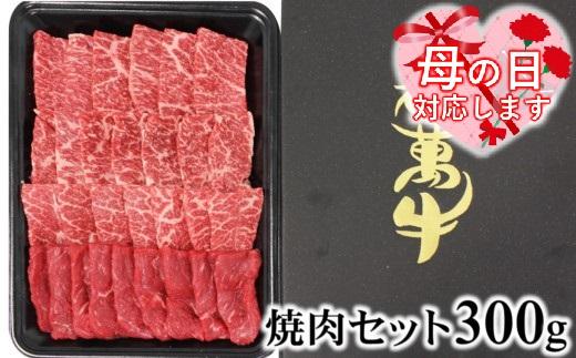 【母の日ギフト】都萬牛 牛肉 黒毛和牛焼肉 300ｇ牛肉 焼肉＜6-4a＞ 【母の日ギフト】