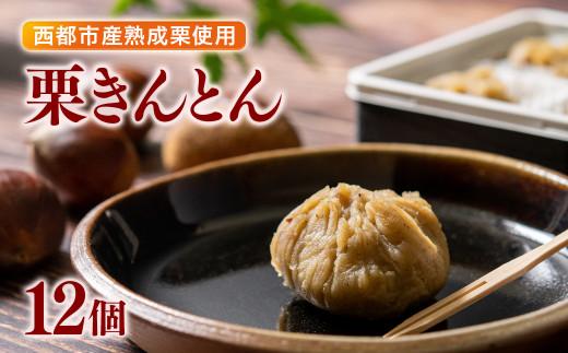 【年末発送】栗きんとん 6個入り×2 合計12個【先行予約】＜1-286＞くり 栗  国産 生栗 果物 フルーツ スイーツ★