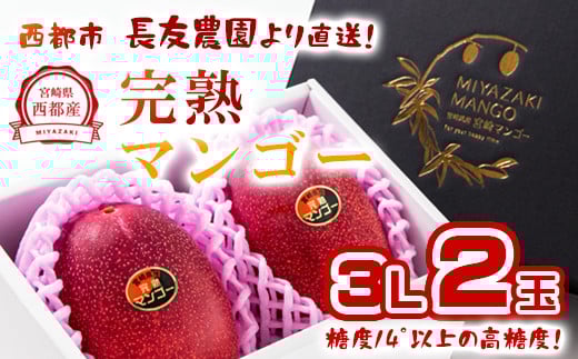 長友農園 完熟マンゴー3L×2玉 糖度14度以上 宮崎県西都産【2025年発送】＜1.7-44＞果物 くだもの フルーツ 宮崎県西都市