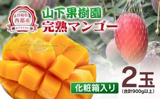 【先行予約】山下果樹園 西都市産完熟マンゴー2玉（合計900ｇ以上）化粧箱入り 2026年発送 <1.8-17> 果物 くだもの フルーツ 西都市 宮崎県 5月～7月順次発送