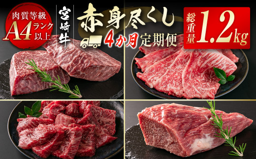 宮崎牛赤身尽くし4ヶ月定期便（合計1.2kg）小分け 焼肉 スライス ステーキ ブロック＜4.6-7＞W 定期便 肉定期便 牛肉 黒毛和牛 宮崎県西都市