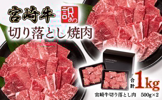 【11月発送】宮崎牛 赤身焼肉 1kg 500×2 訳あり 切り落とし焼肉 牛肉 4等級以上 ブランド牛 ミヤチク 内閣総理大臣賞4連覇＜2-15＞焼肉用 牛肉 赤身● 切り落とし焼肉用1kg