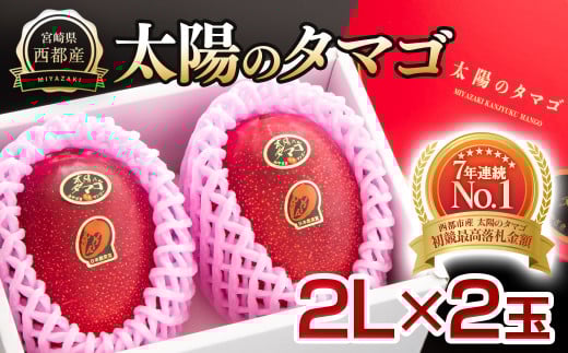 最高級完熟マンゴー『太陽のタマゴ』2Ｌ×2玉　西都市産【先行予約・数量限定】＜2-94＞2026年発送 果物 くだもの フルーツ 宮崎県西都市