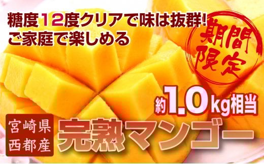 西都産完熟マンゴーご家庭用 ３～５玉（約１kg）ＪＡ西都《先行予約》＜1.5-64＞2026年発送 果物 くだもの フルーツ 宮崎県西都市