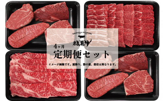 【4ヶ月定期便】黒毛和牛『都萬牛』定期便セット<10-2>定期便 肉 牛肉 毎月届く ビーフ 特選 ステーキ 焼肉 しゃぶしゃぶ 宮崎県西都市