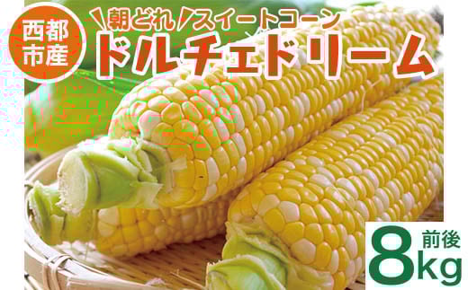 初夏の味覚！鮮度が命 村田さん家の朝どれスイートコーン『ドルチェドリーム』8kg前後 生産者直送 5月発送開始【先行予約 】＜1.2-44＞