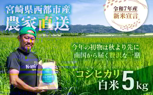 【令和7年産新米・先行予約】こしひかり 5kg ※8月上旬以降順次発送予定 精米済み ＜1.3-20＞ 新米 こしひかり お米 精米 5キロ 米 ライス 宮崎県 西都市 こしひかり：5kg【寄附額13,000円】