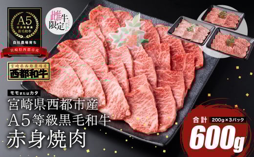 【最高品質A5等級 西都和牛】黒毛和牛赤身焼肉600ｇ（200ｇ×3）宮崎県産＜1.4-6＞【カミチクファーム】牛肉 肉 ビーフ 焼肉 宮崎県西都市