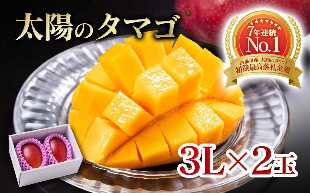 6月発送【先行予約】最高級ブランド『太陽のタマゴ』3L×2個【糖度15度以上】宮崎県西都市産完熟マンゴー＜4.2-6＞宮崎マンゴー 果物 フルーツ 甘い