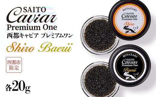 SAITO CAVIAR PREMIUM ONE SHIRO 20g・BAERII20g ＜9-10＞キャビア 西都市オリジナル