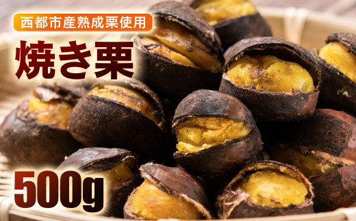 秋の味覚！ 熟成焼き栗 2パック 合計500g＜1-288＞くり 栗  国産 生栗 果物 フルーツ スイーツ★