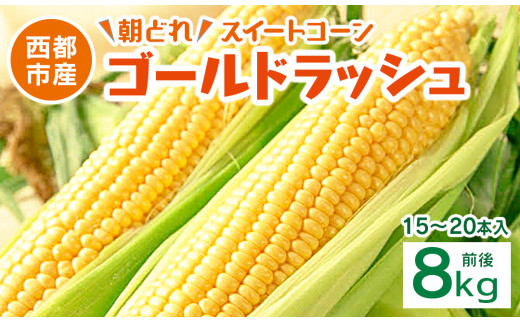 初夏の味覚！鮮度が命 生産者直送 村田さん家のゴールドラッシュ 約8kg 大人気 西都市産 朝どれスイートコーン【先行予約】とうもろこし トウモロコシ＜1.2-35＞