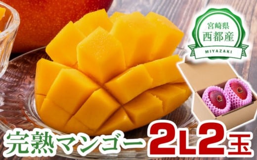 完熟マンゴーセット2Ｌ×2玉 糖度12度以上！西都市産 《先行予約》＜1.3-6＞2026年発送 果物 くだもの フルーツ 宮崎県西都市