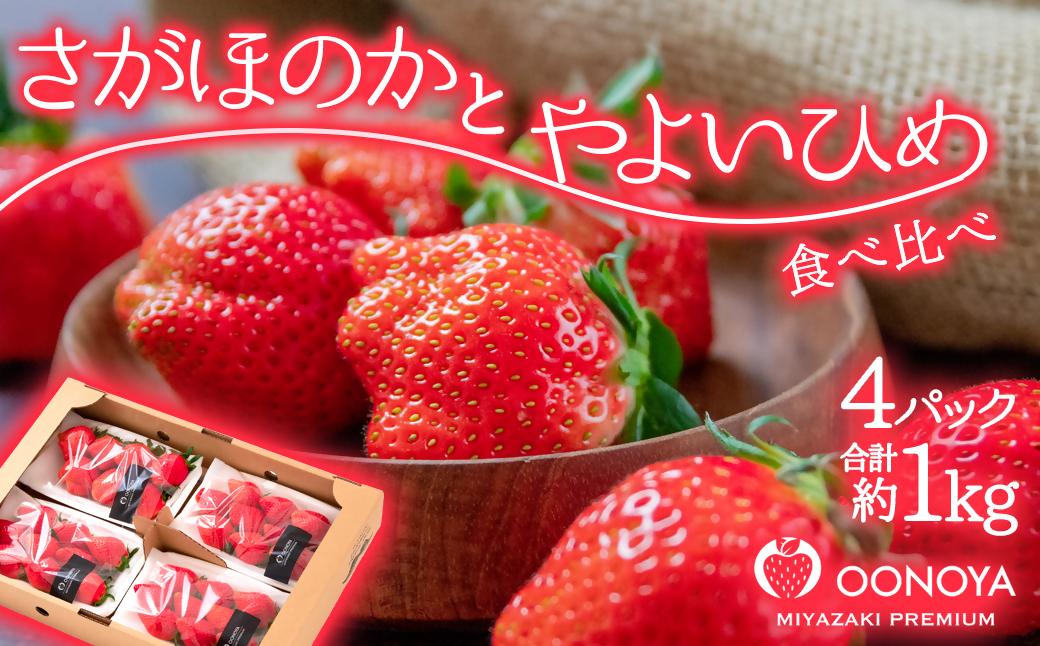 苺大野屋「やよいひめ＆さがほのか」厳選いちご 食べ比べセット 250g×４パック 約１kg 宮崎県 西都市産＜2-105＞果物 くだもの フルーツ 宮崎県 西都市